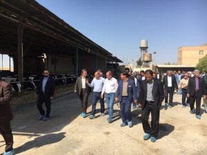 Ministrul Agriculturii, în vizită în Iran. Află ce schimburi comerciale se pregătesc! Agricultura