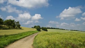 WWF: Există încă situri Natura 2000 fără custozi și fără plan de management Realitatea Rurala