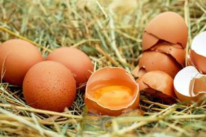 Secrete pentru obţinerea celor mai bune ouă Viata la tara