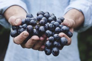 Avem ce bea! România va produce în acest an 4 milioane de hectolitri de vin Realitatea Rurala