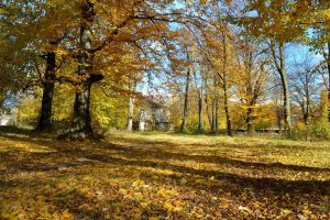 Cum va fi vremea în prima decadă a lunii octombrie Realitatea Rurala