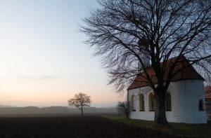 CUM VA FI VREMEA PÂNĂ ÎN 12 NOIEMBRIE Agricultura europeană