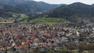 Gripa aviară se extinde în Europa Agricultura europeană