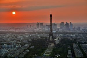 Francezii au scos oile la pascut in Paris Realitatea Rurala