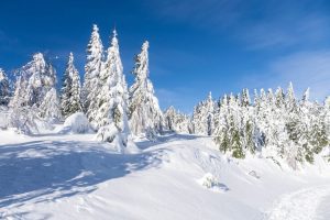 Cum va fi vremea in urmatoarele doua saptamani Realitatea Rurala