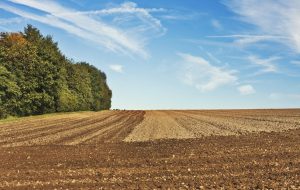 CE SURPRIZĂ I-A FĂCUT PETRE DAEA UNUI AGRICULTOR DIN JUDEȚUL SIBIU Subventii