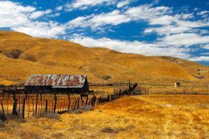Final de seceta in California Viata la tara