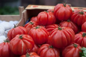 Ajutor de minimis in legumicultura noului an Agricultura