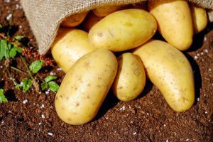 CE S-A ÎNTÂMPLAT ANUL ACESTA LA CONFERINȚA NAȚIONALĂ A CARTOFULUI Alimentatie-retete