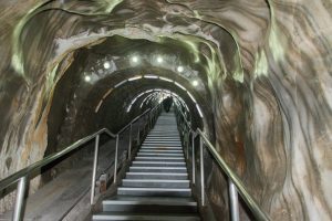 PRODUSE DE CARNE, MATURATE ÎN SALINA TURDA Subventii