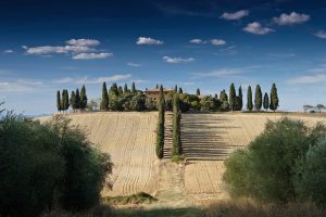 VIITORUL POLITICII AGRICOLE COMUNE, DECIS ȘI DE FERMIERII ROMANI Cercetare