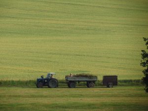 VOCEA FERMIERILOR POATE FI LUATĂ ÎN SEAMĂ NUMAI DACĂ APAR MARILE ASOCIAȚII AGRICOLE Agricultura