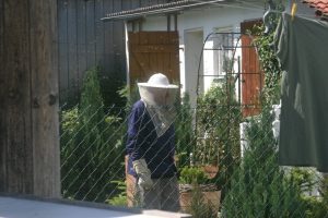 SINDROMUL DEPOPULĂRII COLONIILOR DE ALBINE Agricultura