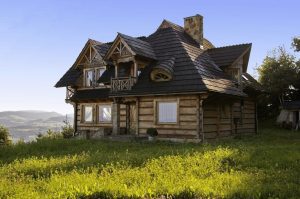 ZONA RURALĂ, VEDETA MINIVACANȚEI DE 1 MAI Agricultura