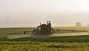 CINE A INTRAT ÎN VIZORUL MADR Agricultura