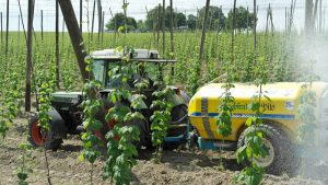 FERMIERII BUZOIENI, ÎNDEMNAȚI SĂ ACCESEZE FONDURI EUROPENE Agricultura