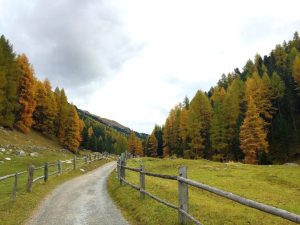 CUM SE POT OBȚINE ÎN CEL MAI SCURT TIMP FONDURI EUROPENE Agricultura