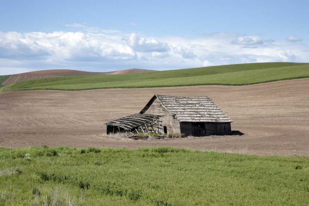 CARE SUNT CELE MAI PROFITABILE AFACERI DIN AGRICULTURĂ Agricultura