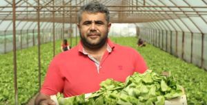 CUM ȘI-AU FĂCUT COOPERATIVĂ CU UN MARE LANȚ DE MAGAZINE PRODUCĂTORII DE LEGUME DINTR-UN SAT DE LÂNGĂ BUCUREȘTI Agricultura