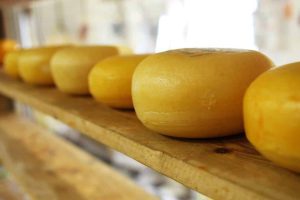 CAȘCAVALUL DE SĂVENI NU TREBUIE SĂ LIPSEASCĂ DE PE MESELE ROMÂNILOR Agricultura europeană