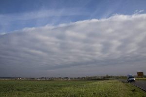DEZASTRU ȘI ÎN COVASNA. RAPIȚA ȘI LIVEZILE SUNT CELE MAI AFECTATE Agricultura