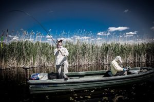 BRACONIERII ÎȘI FAC DE CAP ÎN DELTA DUNĂRII Agricultura europeană