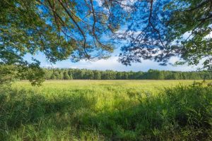 MASCHIO GASPARDO - MACCHINE ECOLOGICO Realitatea Rurala