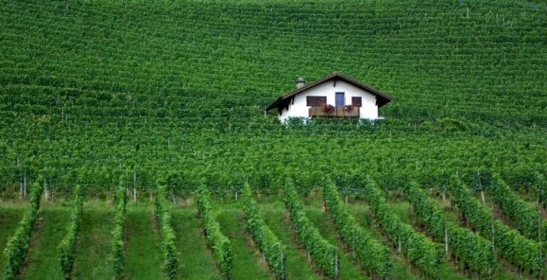 pactul verde european