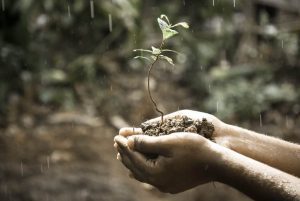 O noua strategie! Transformarea sistemelor alimentare si sustinerea biodiversitatii Stiri agricole