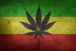 MAI AVEM NEVOIE ȘI DE IARBĂ! MADR VREA SĂ SCHIMBE LEGEA PRIN CARE SE POATE IMPORTA SĂMÂNȚĂ DE CÂNEPĂ Agricultura