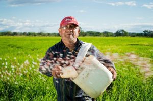 CONDITIILE DE MUNCA, PROVOCARI ACTUALE SI VIITOARE Stiri agricole