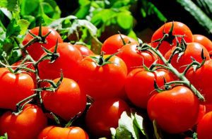 DE CE TREBUIE SĂ CONSUMĂM ROȘII ROMÂNEȘTI Agricultura