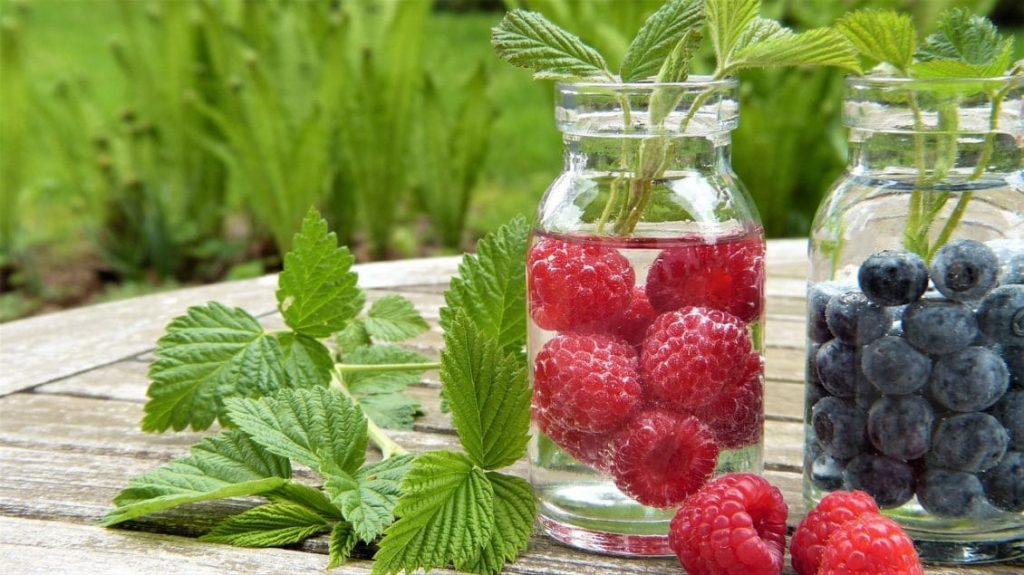 CÂT DE MARE ESTE SUPRAFAȚA DIN ROMÂNIA CERTIFICATĂ PENTRU AGRICULTURĂ BIO Agricultura
