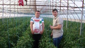 CUM A PUS MÂNA UN ROMÂN PE CEL MAI BUN FERTILIZANT FOLOSIT ÎN EUROPA Agricultura