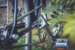 BICICLETE ȘI ATV-URI PE FONDURI EUROPENE Agricultura