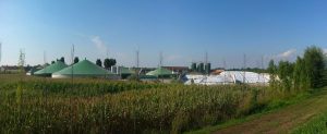ROMÂNIA NU ESTE INTERESATĂ DE ENERGIA VERDE Agricultura