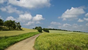 AGRICULTORII CONTINUĂ SĂ-I HULEASCĂ PE PRIMARII CARE DAU PREA UȘOR AJUTOARE SOCIALE Program TV