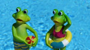 NU MAI SUNT LOCURI LIBERE PENTRU VACANȚA DE RUSALII Realitatea Rurala
