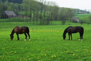 LEGE PENTRU PROTEJAREA AGRICULTORILOR Evenimente