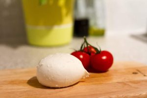 CUM SE PRODUCE MOLDZZARELLA Agricultura