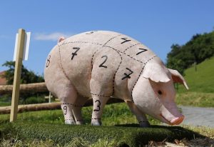 CE ÎI AȘTEAPTĂ PE CRESCĂTORII DE PORCI ÎN PERIOADA URMĂTOARE Program TV