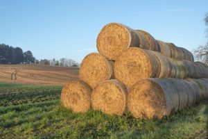 CÂȚI FERMIERI AU DEPUS CERERILE LA APIA Alimentatie-retete