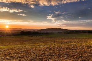 APIA A INCEPUT SA TRIMITA BANII IN CONTURILE FERMIERILOR Stiri agricole