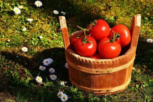 ROȘIILE DE GIUVĂRĂȘTI AU AJUNS ÎN PARLAMENTUL ROMÂNIEI Alimentatie-retete