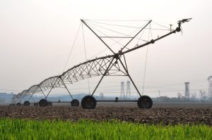 PETRE DAEA SUSȚINE CĂ S-A MĂRIT SUPRAFAȚA IRIGABILĂ Agricultura