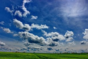 LIPSA PRECIPITAȚIILOR AFECTEAZĂ CULTURILE AGRICOLE Evenimente