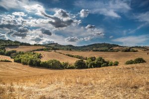 CRIZA DE TEREN AFECTEAZĂ FERMELE DIN TRANSILVANIA Comunicate