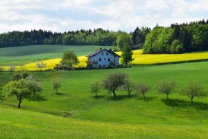 MADR SPORESTE VITEZA PENTRU DEZVOLTAREA MEDIULUI RURAL Evenimente