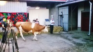 TEATRUL COBOARA DIN NOU DE PE SCENA, IN SURILE UNOR SATENI DIN SALAJ Program TV