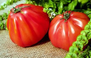 MADR ANUNȚĂ CĂ PESTE 2.000 DE FERMIERI ȘI-AU PRIMIT BANII PENTRU PROGRAMUL TOMATE Agricultura